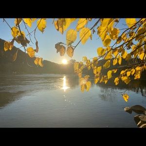 Meet your Posher, Melanie